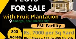Invest in DTCP Approved Farmlands Layout @ Amanagal in Easy EMIs