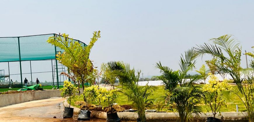 BEST FARM PLOTS FOR SALE AT SHANKARPALLY