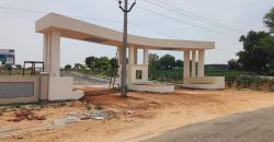 OPEN PLOTS FOR SALE AT SAGAR HIGHWAY & SRISAILAM HIGHWAY NEAR HYDERABAD