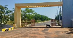 hmda approved open plots at meerkhanpet pharmacity and amazon data centre srisailam highway hyderabad