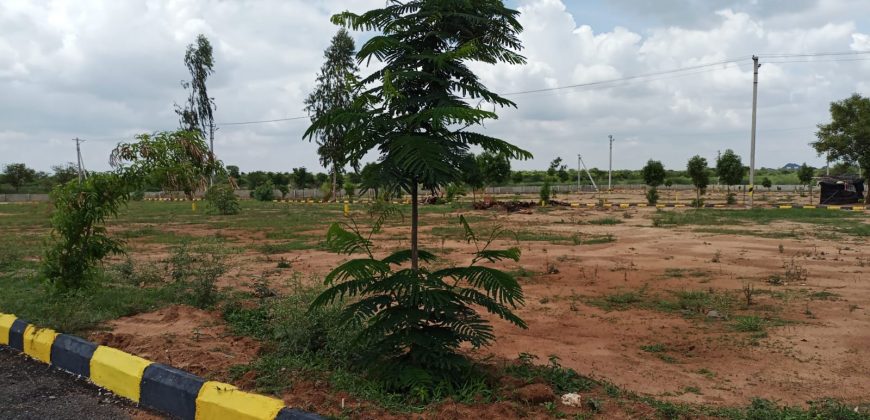 DTCP APPROVED OPEN PLOTS FOR SALES AT NANDIWANAPARTHY