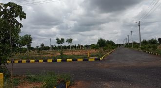 DTCP APPROVED OPEN PLOTS FOR SALES AT NANDIWANAPARTHY