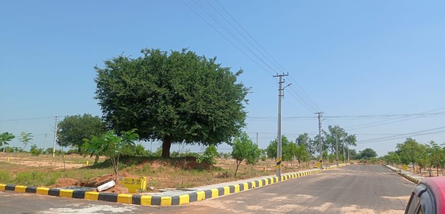 HMDA, RERA approved plots for sale in Pharmacity, Srisailam highway #Openplots #Openplotsforsale #Openplotsforinvestment