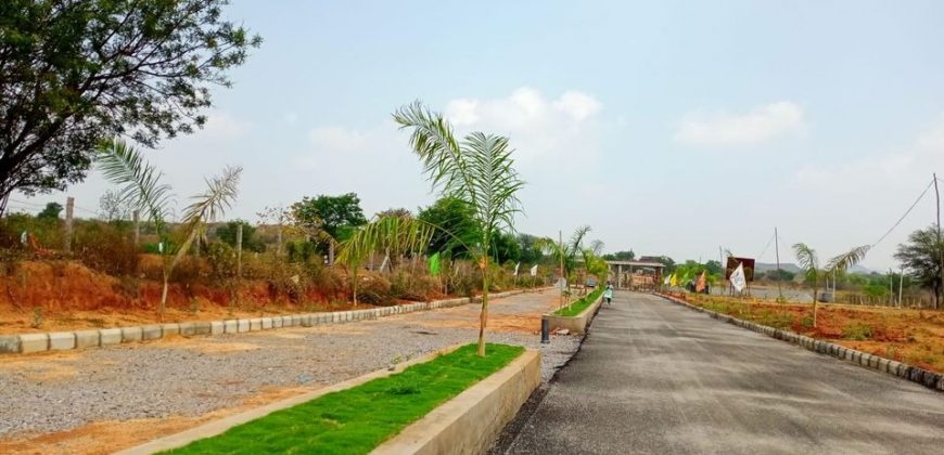 DTCP, RERA approved open plots in Pharmacity, Srisailam highway, Hyderabad #Openplots #Openplotsinpharmacity #Openplotsinsrisailamhighway #openplotsinhyderabad