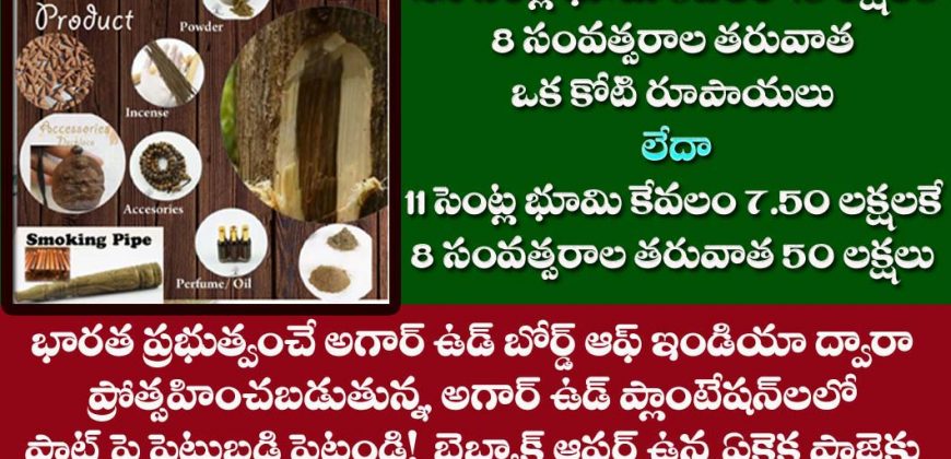 Farmlands for sale- Agar Wood Plantation Plot for Sale