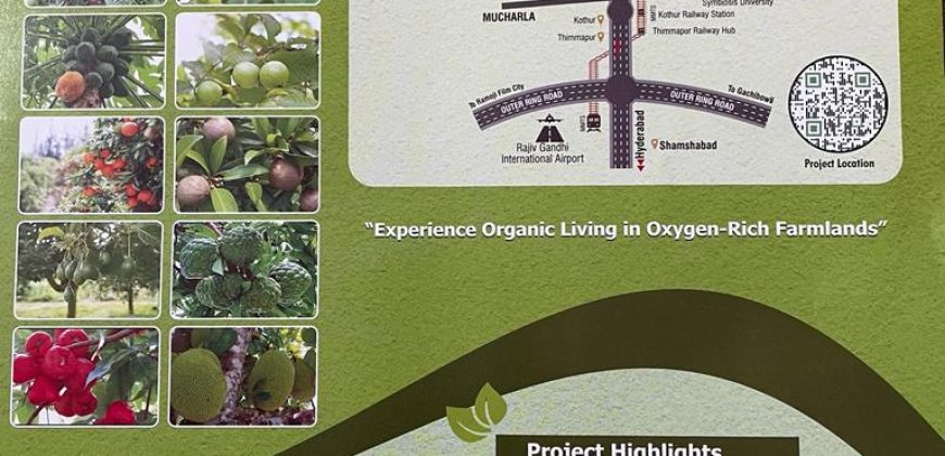 104 Acres Fruit Plants Farm land for sale Rajapur, Shadnagar, Hyderabad Plot Sizes 2 , 5 , 10 and 20Guntas
