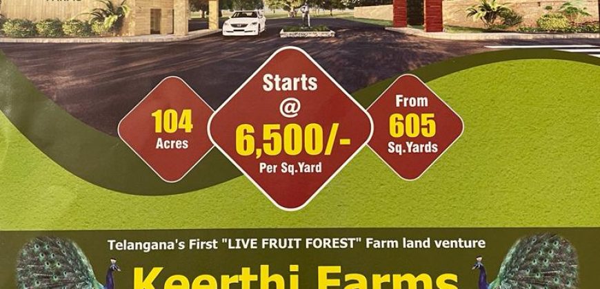 104 Acres Fruit Plants Farm land for sale Rajapur, Shadnagar, Hyderabad Plot Sizes 2 , 5 , 10 and 20Guntas