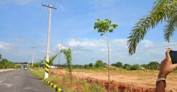 DTCP APPROVED OPEN PLOTS FOR SALE AT PHARMA CITY SAGAR HIGHWAY