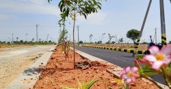 open plots for sale at pharma city