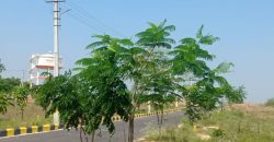 Hmda plots for sale at mirkhanpet