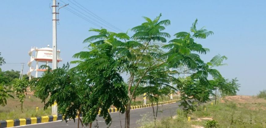 Hmda plots for sale at mirkhanpet