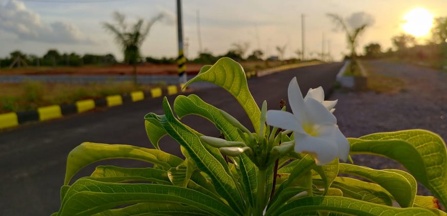 dtcp approved plots for sale at nandiwanapaty