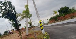 dtcp approved plots for sale at nandiwanapaty