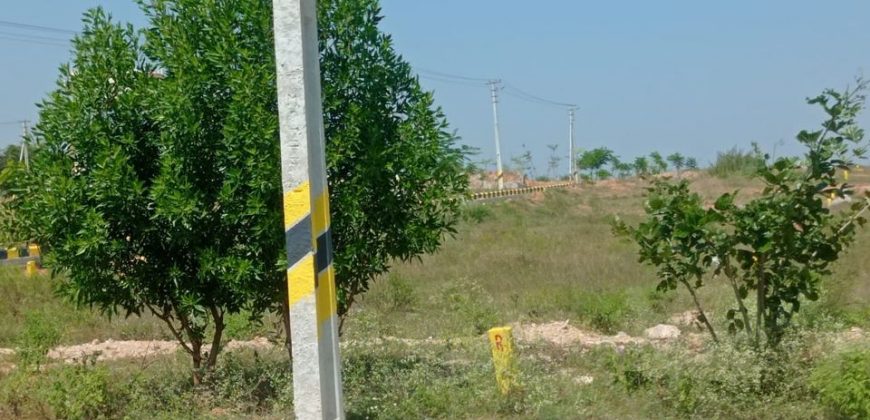 HMDA APPROVED PLOTS FOR SALE AT MIRKHANPET