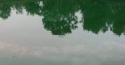 Kosgi 40 acres mango farm sale 9000533026