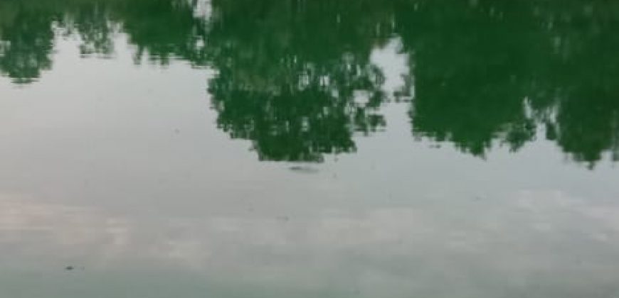 Kosgi 40 acres mango farm sale 9000533026