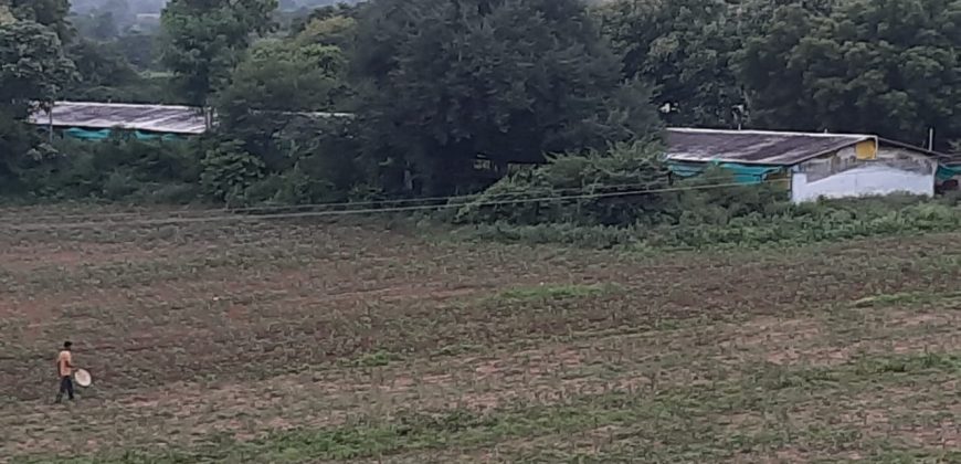 Kosgi 40 acres mango farm sale 9000533026