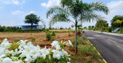dtcp&rera approved plots for sale at sagar highway, pharma city
