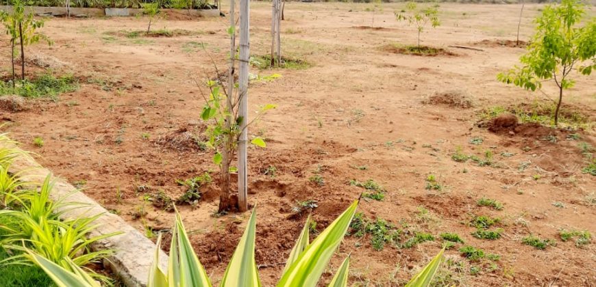 Glentree pharma county plots for sale – 9701498367