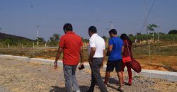 Glentree pharma county plots for sale – 9701498367