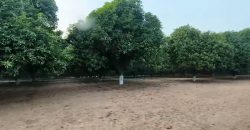 Agriculture Land (15 AcresMango Thota) for sale near Siddipeta total 45 Acres Price per Acre 55 Lakhs only