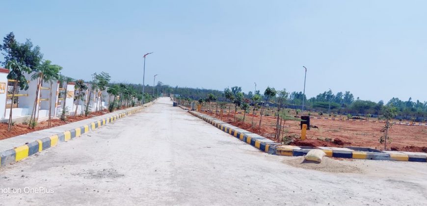 Vasudaika whistling woods in Tukkuguda