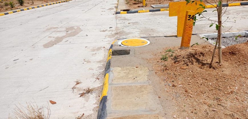 vasudaika South fields in Mansanpally