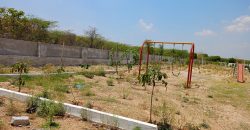 vasudaika South fields in Mansanpally