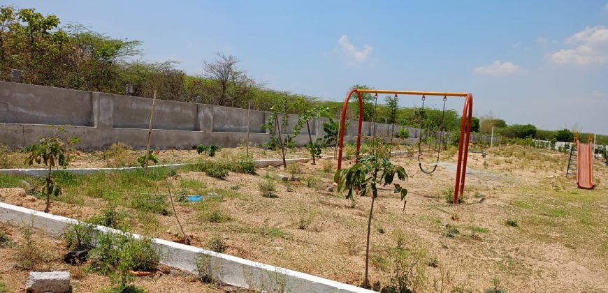vasudaika South fields in Mansanpally