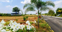 Open plots for investment at Hyderabad – Srisailam highway