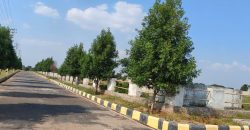 Vasudaika cosmo celesse in Kurmidda Srisailam highway