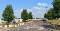 Vasudaika cosmo celesse in Kurmidda Srisailam highway