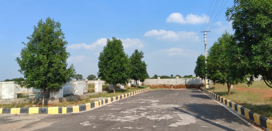 Vasudaika cosmo celesse in Kurmidda Srisailam highway