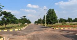 Vasudaika cosmo celesse in Kurmidda Srisailam highway