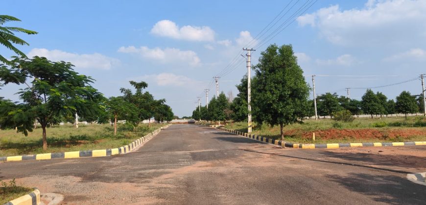 Vasudaika cosmo celesse in Kurmidda Srisailam highway