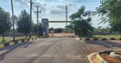 Vasudaika cosmo celesse in Kurmidda Srisailam highway