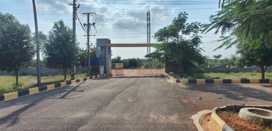 Vasudaika cosmo celesse in Kurmidda Srisailam highway