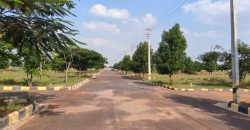 Vasudaika cosmo celesse in Kurmidda Srisailam highway