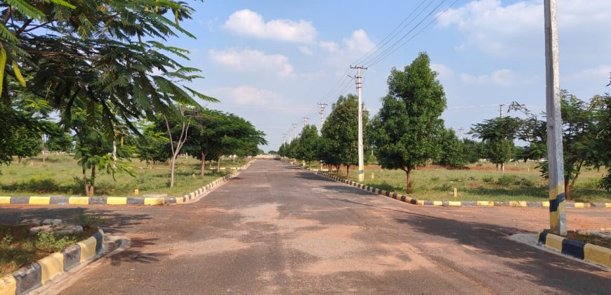 Vasudaika cosmo celesse in Kurmidda Srisailam highway