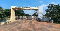 Vasudaika cosmo celesse in Nandiwanaparthy Yacharam