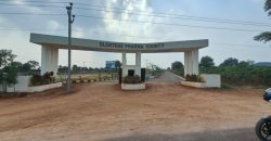 glentree pharmacounty at nandiwanaparthy Sagar highway