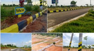 open plots for sale at pharma city
