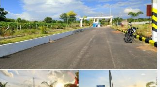 DTCP APPROVED OPEN PLOTS FOR SALE AT PHARMA CITY