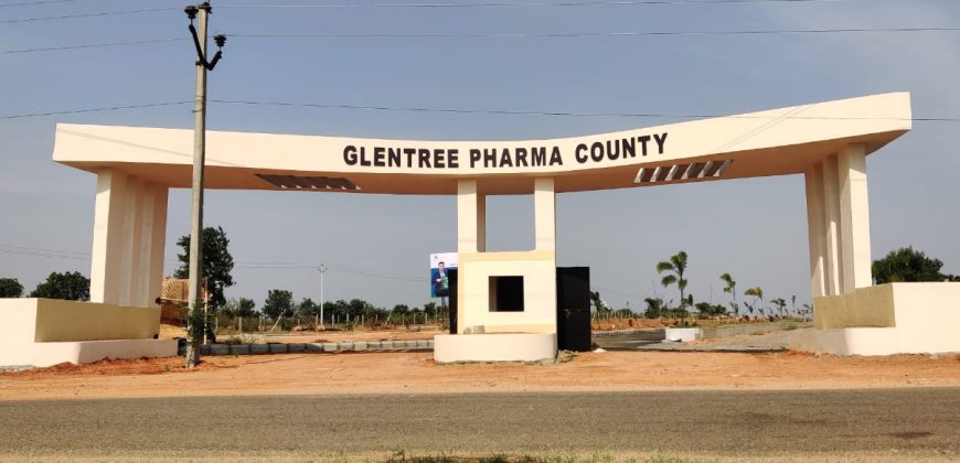 glentree pharmacounty at nandiwanaparthy