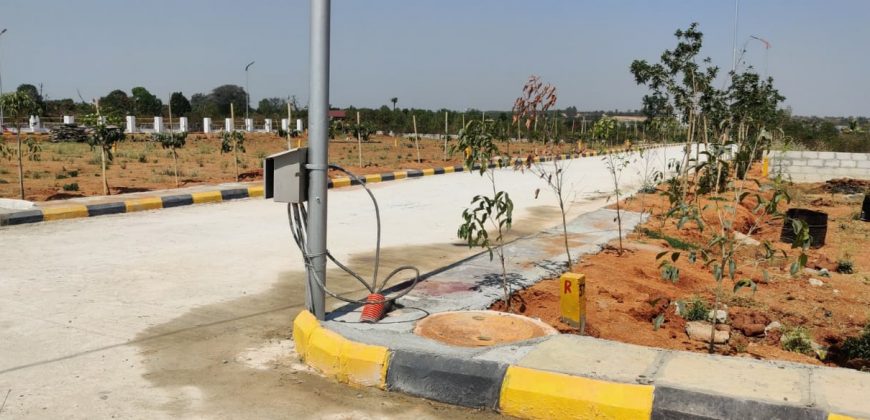 Vasudaika whistling woods in Tukkuguda