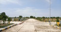 Vasudaika south fields plots