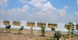 Vasudaika south fields plots for sale at Hyderabad – Bangalore highway – 9701498367