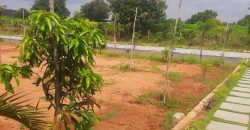 Best open plots for sale at Srisailam highway – Hyderabad with spot registrations – 9701498367