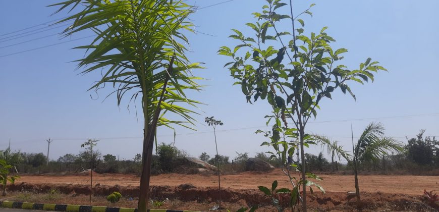 DTCP & RERA approved open plots at Nandiwanaparthy – Yacharam – Hyderabad