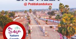 Plots for Sale in Peddakandukur, Hyderabad